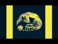 Download Lagu Roby M. Beki - My Tortoise [Official Music Video] HQ