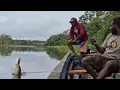 Download Lagu Mancing disini ikanya terlalu ganas! Baru lempar umpan,ikan langsung sambar. Spot:kali maro Merauke