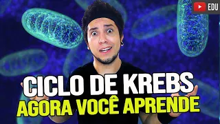 KREBS CYCLE - UNDERSTAND ONCE AND FOR ALL