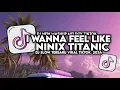 Download Lagu DJ I WANNA FEEL LIKE X NINIX TITANIC FULL SONG MAMAN FVNDY 2024