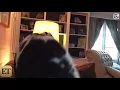 Taylor swift being annoyed by her moms dog for 1 minute and 18 seconds