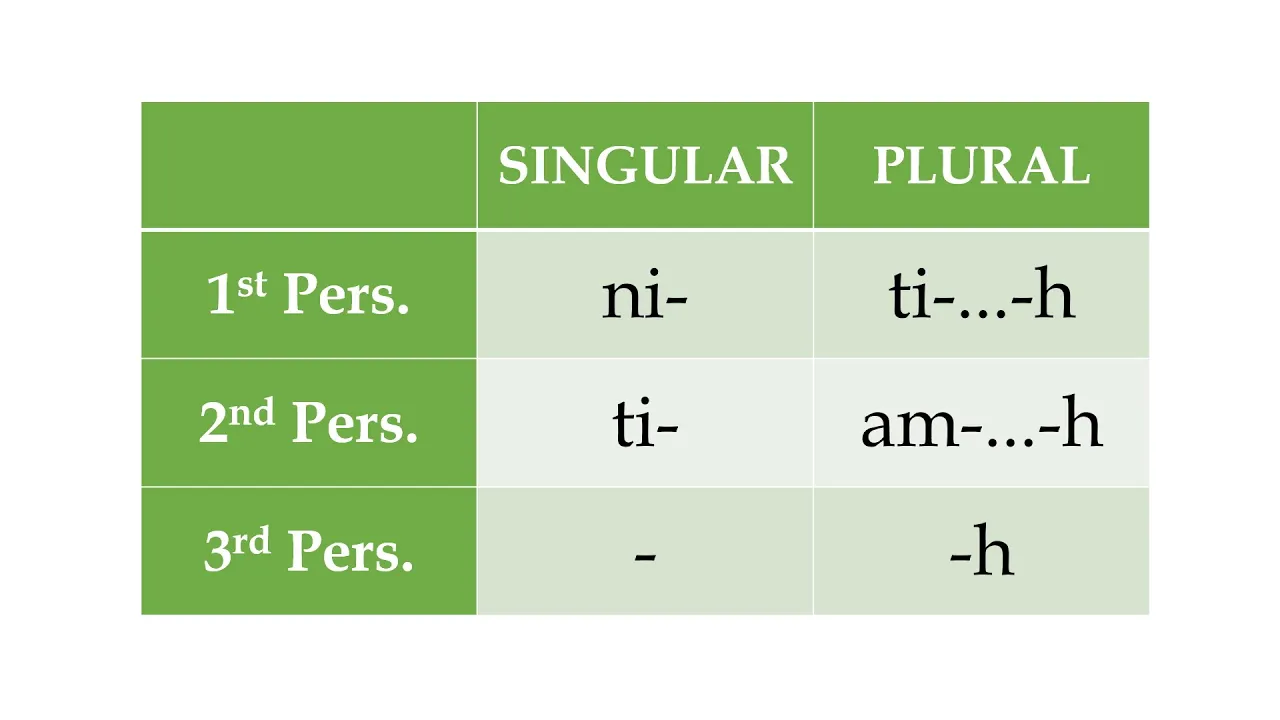 Feature Focus - Verb Agreement
