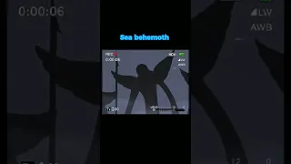 Onepiece Masira And Straw Hats Crew Shocked When Seeing Sea Monster 