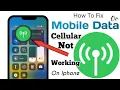 How To Fix Mobile DataNot Working on iPhone Why my iphone Cellular stuck Searching