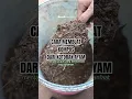 Download Lagu Cara membuat kompos dari kotoran ayam. Gampang pisan dude.