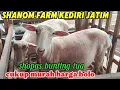 Download Lagu BANTING HARGA F 1 AWASI BUNTING SAMA FB DAN BELTEX  085784193257 kediri jawa timur