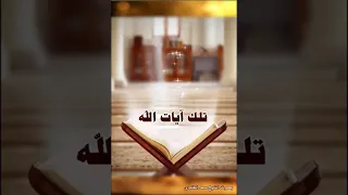 يكاد البرق يخطف أبصارهم كلما أضاء لهم مشوا فيه وإذا أظلم سورة البقرة آية 20 بصوت سعد الغامدي 