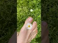 Picking flower with foot ASMR | Blumen pflücken mit dem Fuß ASMR #foot