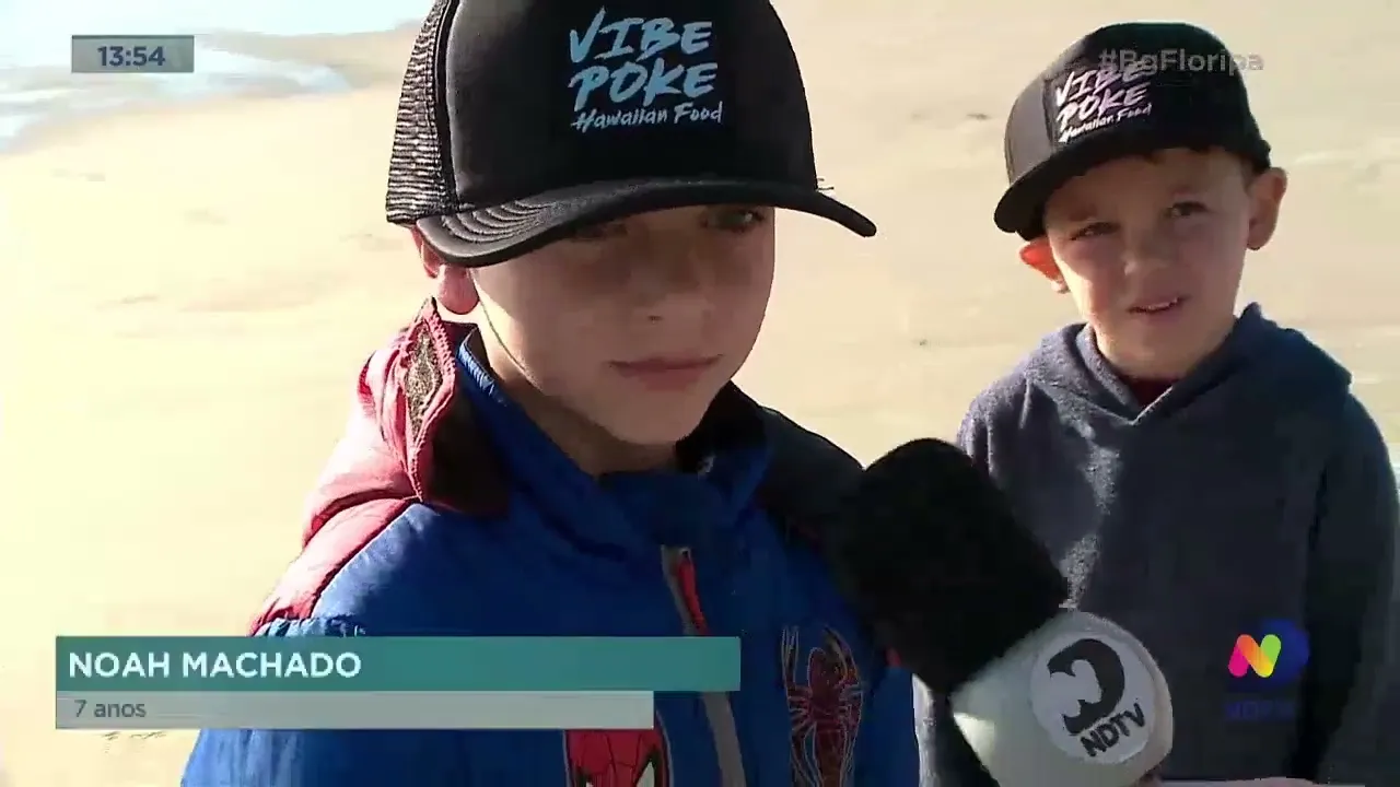 Projeto Tamar retoma soltura de tartarugas com presença de público