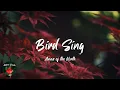 Anna of the North - Bird Sing (Lyric video)