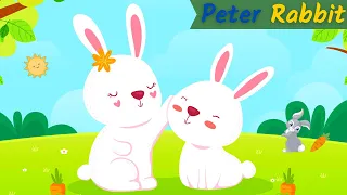 little peter rabbit had a fly upon his nose nursery rhymes kids songs toddler songs