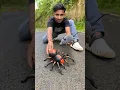 Download Lagu Mouse toy vs rc spider toy short video