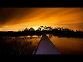 Fifteen Things To Do in Beaufort South Carolina
