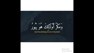م ن ك ان ي ر يد ال ع ز ة المنشاوي 