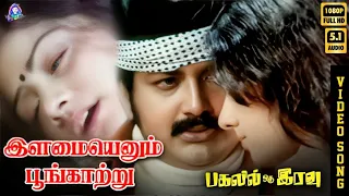ilamai enum poongaatru hd video song 5 1 sridevi spb kannadasan ilaiyaraaja
