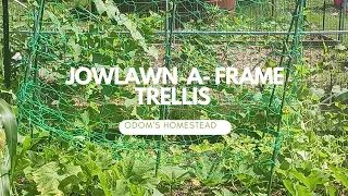Jowlawn A Frame Trellis