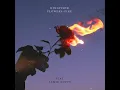 flowers-fire (feat. Jamie Duffy)