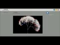 HTML5 Canvas Web API Fractal-Tree-like drawing