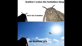 brøther, I cräve the forbidden lämp