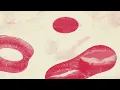 Jess Connelly - Better (Official Visualizer)