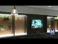 Medical marijuana dispensary RISE opens in Amherst