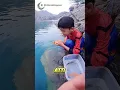Download Lagu Balığı Serbest Bıraktı... Ama Geri Geldi! 😢