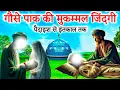 Download Lagu Huzur Gouse Paak Ki Full History | Gous Paak Ka Waqya | Abdul Qadir jilani Ki Karamate Islamic Video