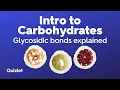 Introduction to Carbohydrates Types Functions and Glycosidic Bonds Explained