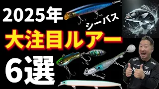 【2025年】大注目のシーバスルアー6選！これは絶対にハズせない！