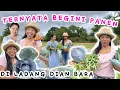 Download Lagu MOMEN SPECIAL AKHIRNYA BISA PANEN SAYURAN DI KEBUN @DianBara  🥬🥕