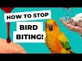 How to stop your bird from biting Aggressive bird behavior