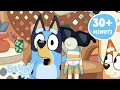 Download Lagu I giocattoli preferiti di Bluey 🧸💙 | Bluey Italiano Canale Ufficiale