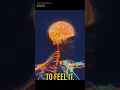 HERE S What Happened To The BODIES At IMPLOSION Of Submersible TITAN Science Talk