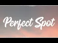 Busy Signal - Perfect Spot [Official Audio]