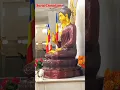Download Lagu Dhamma chakra Parivartan din status #jaybhim #namobuddhay #nagpur #buddha #status #dikshabhumi
