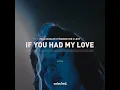 If You Had My Love (Extended)