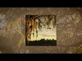Cole Swindell - Bottom Of It (Audio)