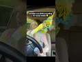 It s Not Just Teens The Shocking Reality of Distracted Driving