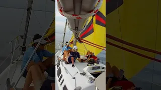 #sailing #racing #fun #water #shorts