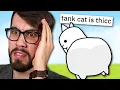 Battle Cats Memes Because my Account is Locked