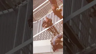 لحظات مرعبة شاب سويسري ينجو بأعجوبة من هجوم دب غاضب 