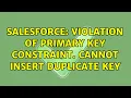 Salesforce Violation of PRIMARY KEY constraint Cannot insert duplicate key