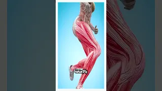 لماذا يتبرز العد اؤون على انفسهم 