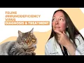 Feline Immunodeficiency Virus Symptoms Causes Diagnosis Treatment