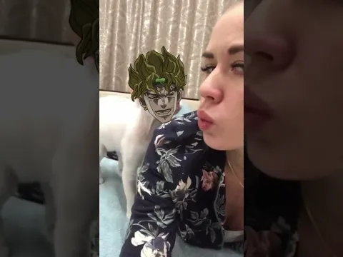 DIO Cat