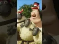 Download Lagu BEACH VOLLEYBALL🐑🐑🐑 #shorts #shaunthesheep  #cartoonforkids #animation  #sports