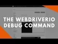 Lesson 4a The WebdriverIO debug command