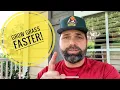 St Augustine Plug 2 week Update How To Grow Grass Faster