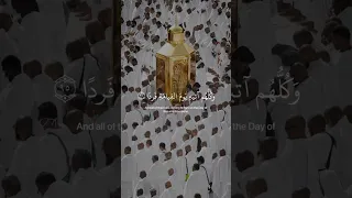 وكلهم اتيه يوم القيامة فردا القارئ عبدالرحمن مسعد 