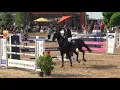 Download Lagu 04.08.2019 Jagstzell: Springen Kl. S1* - 1. Ramona Kunze/Denver 214